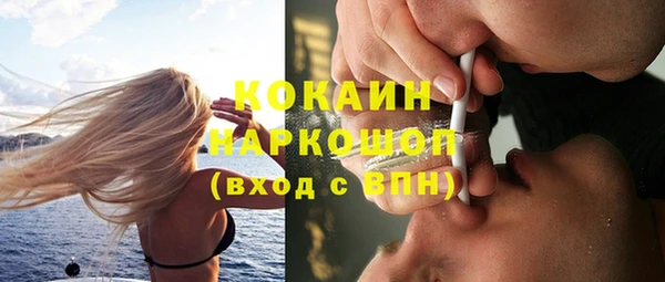 гидра Алексеевка