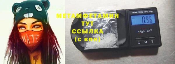 прущие грибы Покров
