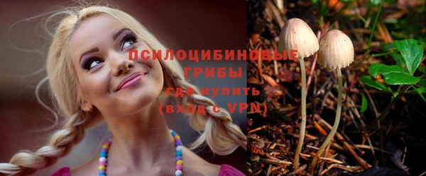 а пвп мука Абаза
