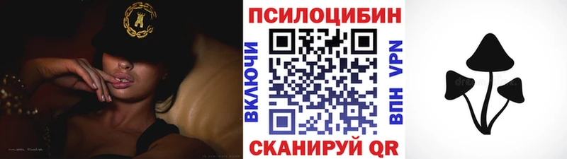 Псилоцибиновые грибы Cubensis  Анадырь 